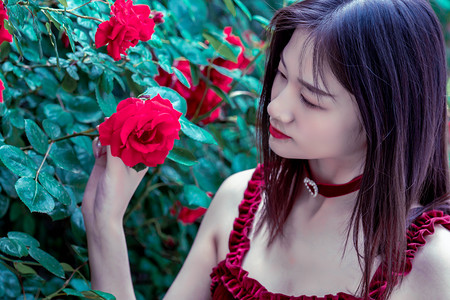 台农扎根福建漳州：立足特色农业优势 先行先试